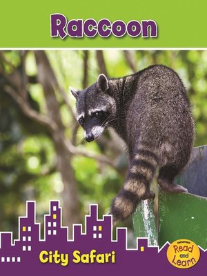 cover image of Raccoon